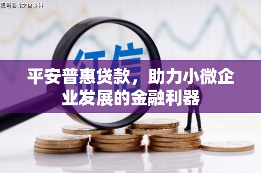 天心平安普惠贷款，助力小微企业发展的金融利器