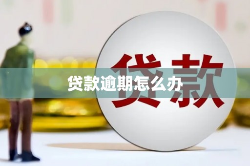 天心贷款逾期怎么办