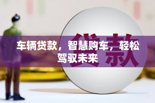 天心车辆贷款，智慧购车，轻松驾驭未来