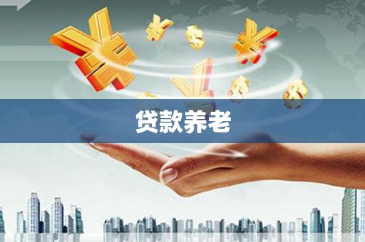天心贷款养老