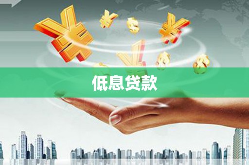 天心低息贷款