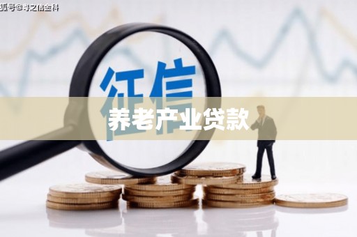 天心养老产业贷款