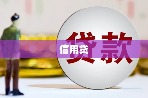 天心信用贷