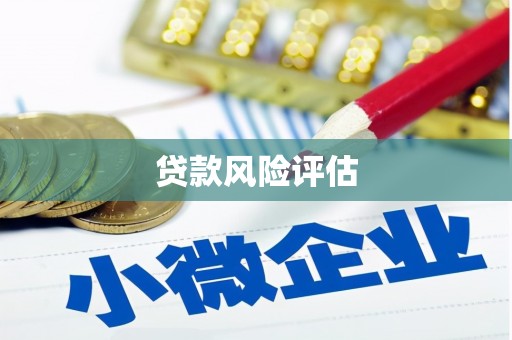 天心贷款风险评估