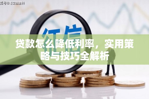 天心贷款怎么降低利率，实用策略与技巧全解析