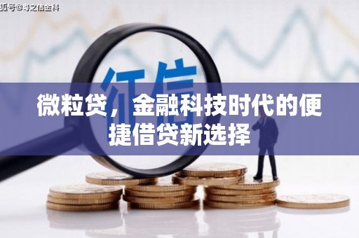 天心微粒贷，金融科技时代的便捷借贷新选择