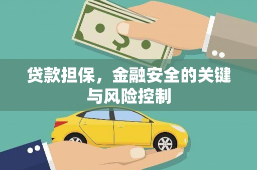 天心贷款担保，金融安全的关键与风险控制
