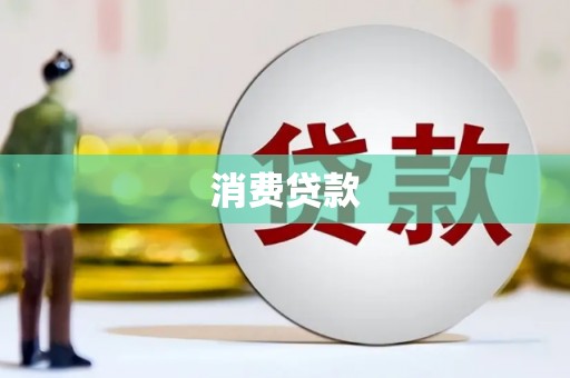 天心消费贷款