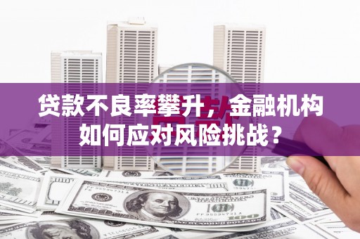 天心贷款不良率攀升，金融机构如何应对风险挑战？