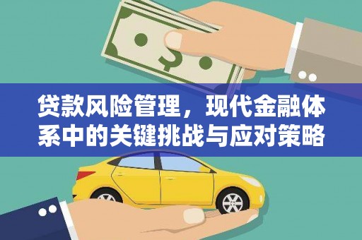 天心贷款风险管理，现代金融体系中的关键挑战与应对策略
