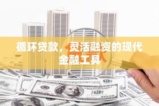 天心循环贷款，灵活融资的现代金融工具