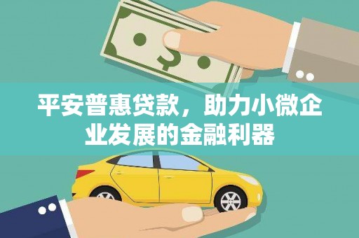 天心平安普惠贷款，助力小微企业发展的金融利器