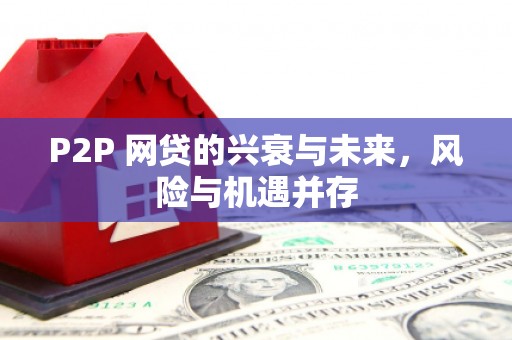 天心P2P 网贷的兴衰与未来，风险与机遇并存