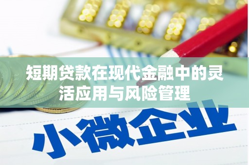 天心短期贷款在现代金融中的灵活应用与风险管理