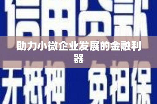 天心助力小微企业发展的金融利器