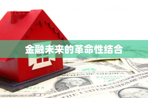 天心金融未来的革命性结合