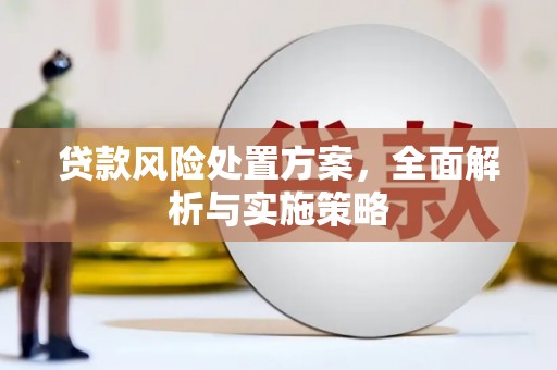天心贷款风险处置方案，全面解析与实施策略