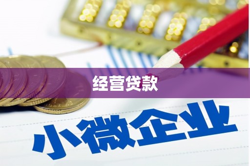 天心经营贷款