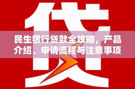 天心民生银行贷款全攻略，产品介绍、申请流程与注意事项
